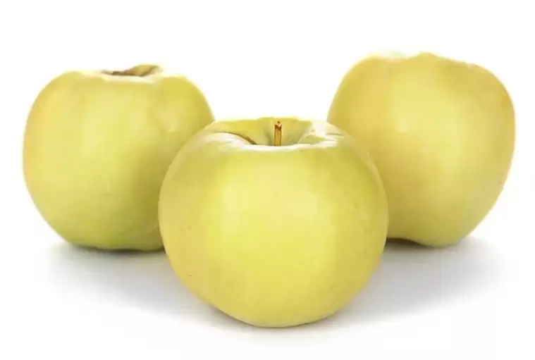 Μήλα που χρησιμοποιούνται για τη θεραπεία των κιρσών