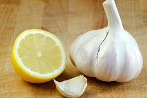 η θεραπεία των κιρσών με το εκχύλισμα σκόρδου και λεμονιού